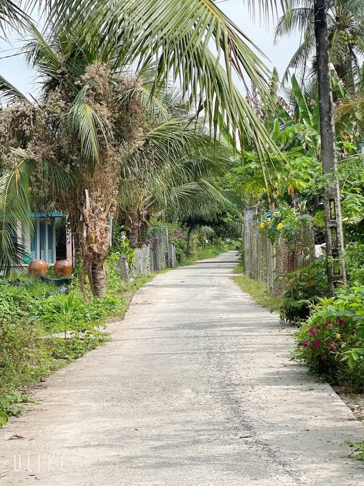 Bán nhà vườn sầu riêng tại xã An Phước, Vĩnh Long 2485m² giá 1.85 tỷ - Đầu tư sinh lời ngay!