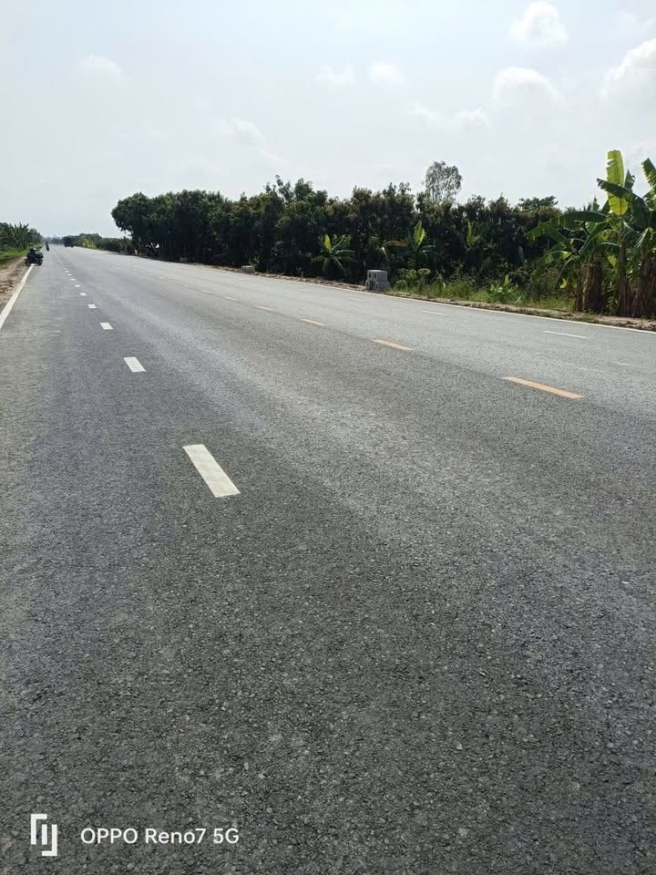 Đất nền phường Mỹ Ngãi, Cao Lãnh, Đồng Tháp 3500m² - Giá bán nhanh, hỗ trợ vay vốn!