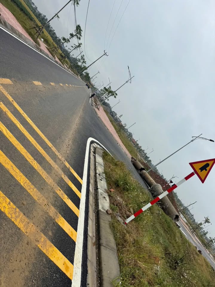 Đất nền mặt tiền đường trục xã Tiên Thanh 121m² giá 2 tỷ - Đối diện cổng khu công nghiệp!