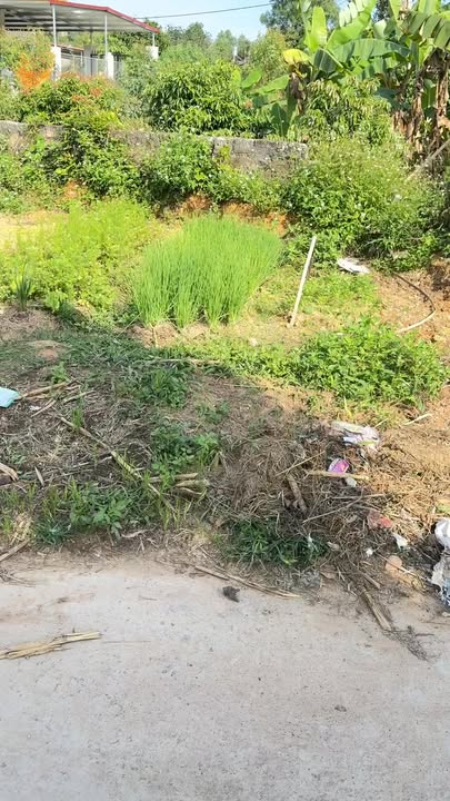 Đất nền Hồng Kỳ Yên Thế 287m² giá 500 triệu - Cơ hội đầu tư tuyệt vời!