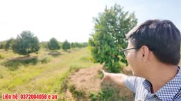 Đất Farm 7300m² tại Phước Thạnh, Gò Dầu - Đầu tư sinh lời tiềm năng!