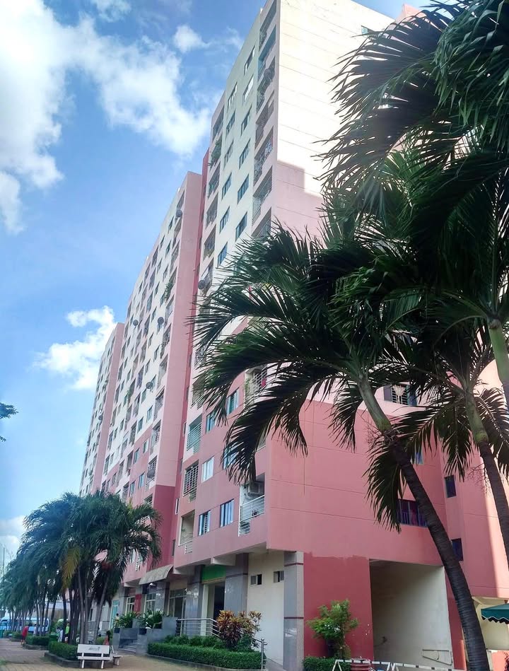 Nhà mặt tiền kinh doanh Gò Vấp 101m² giá 5.46 tỷ - Đầu tư sinh lời ngay!