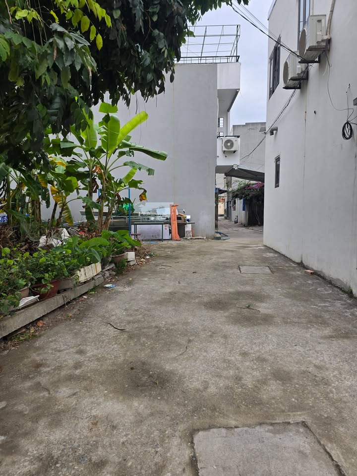 Đất góc ngõ Triệu Quang Phục, Cẩm Thượng, 93.7m² - Vị trí đắc địa, giá thỏa thuận!