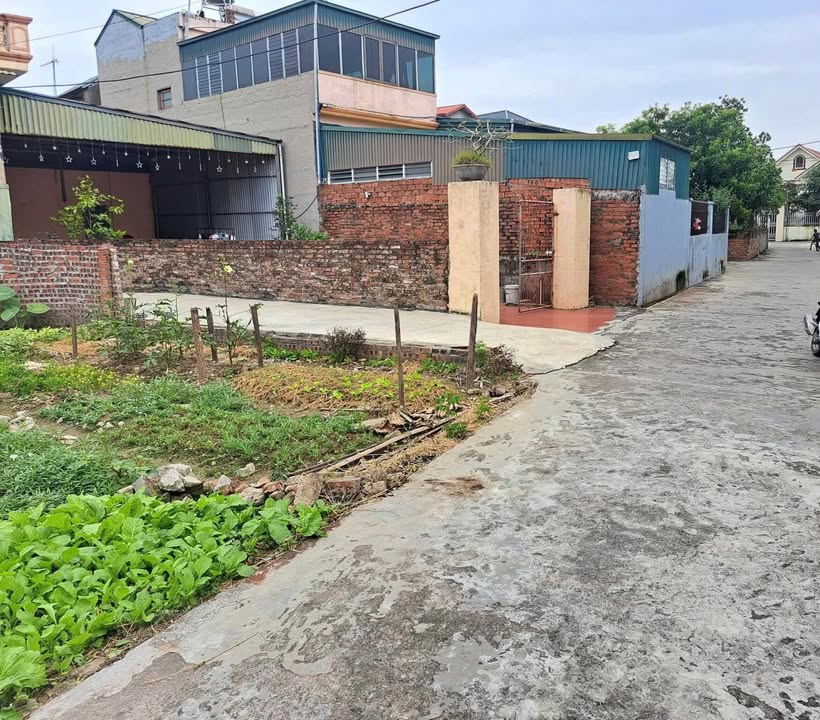 Lô đất Phượng Kỳ Tứ Kỳ 100m² giá 800 triệu - Cơ hội đầu tư tuyệt vời!