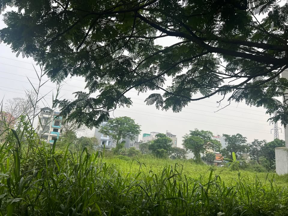 Đất nền KDC Phong Phú 4 Khang Điền, 200m² giá 11.5 tỷ - Đầu tư sinh lời lý tưởng!