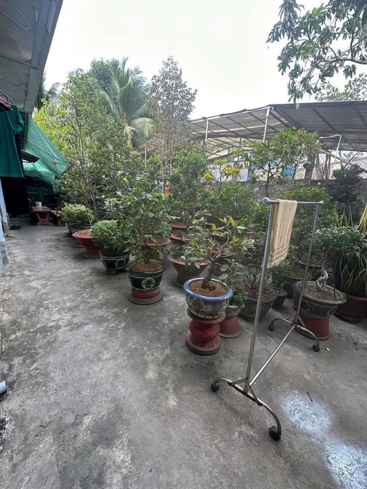 Nhà mặt tiền đường Phạm Hùng, phường Long Châu, 303m² giá chỉ 6 tỷ - Bán gấp, giá tốt!