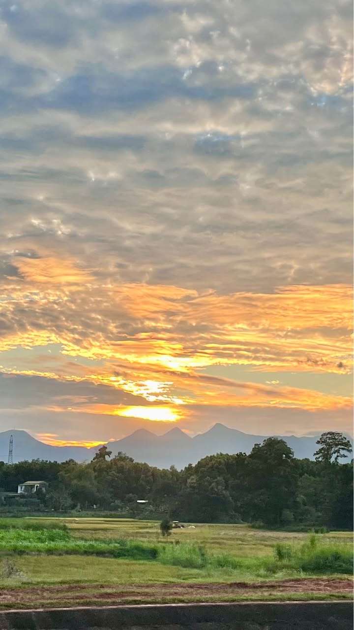 Đất thổ cư Thịnh Đán 187m² giá 3 tỷ - Đường thông thoáng, đông dân cư!