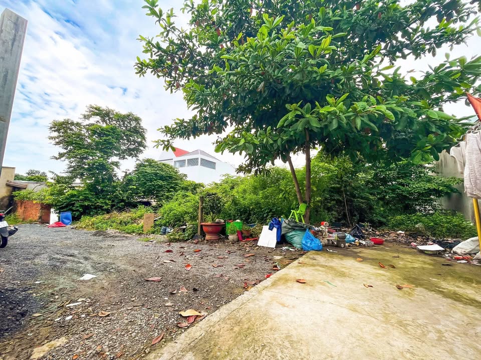 Đất nền 665m² phường Tân Triều, Biên Hòa chỉ 3.75 tỷ - Đầu tư sinh lời ngay!