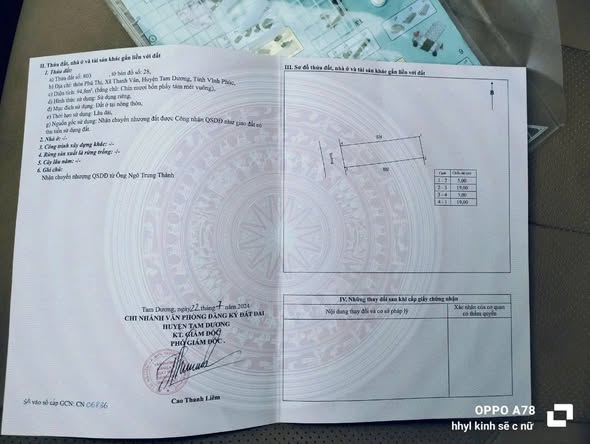 Đất mặt tiền 5m tại xã Thanh Vân, Tam Dương, 94m² - Giá 1.35 tỷ, đầu tư sinh lời ngay!