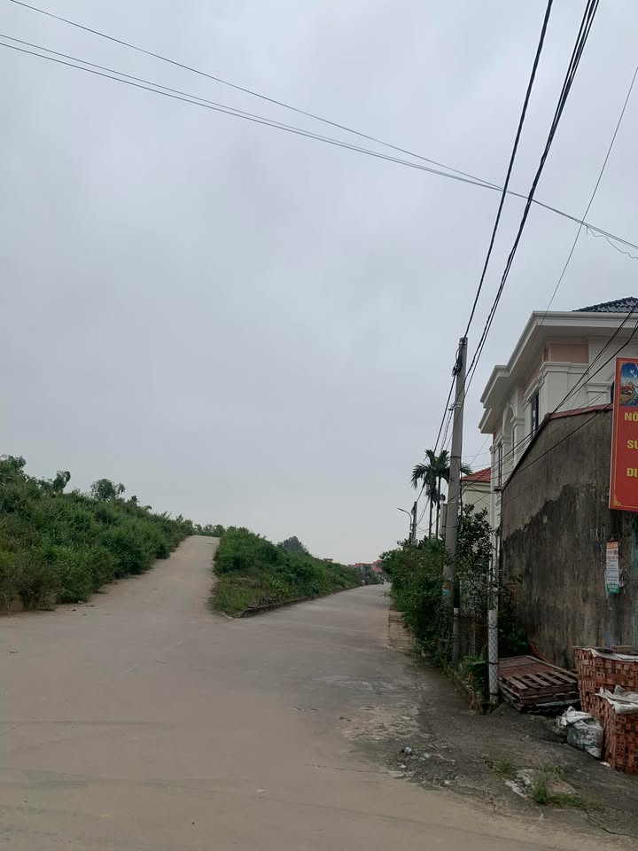 Đất trục chính mặt đường đê thôn Đại Trung, xã Cao Đức, 210m² giá thỏa thuận - Cơ hội đầu tư sinh lời cao!