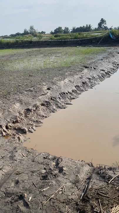 Đất nông nghiệp xã Hòa Điền An Giang 432.000m² giá 9.6 tỷ - Đầu tư sinh lời hấp dẫn!