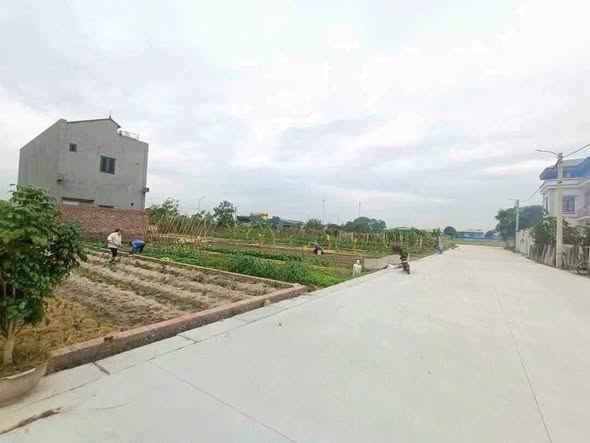 Đất nền Đình Trung, Xuân Nộn, Đông Anh 120m² giá 600 triệu - Cơ hội đầu tư tuyệt vời!