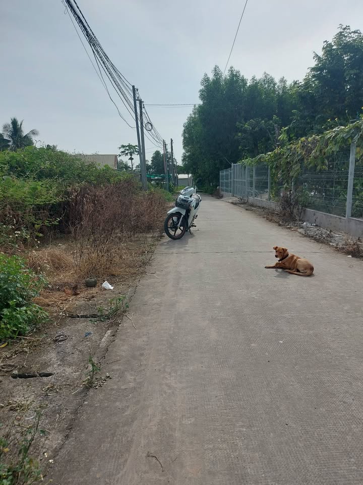 Đất nền thổ cư 102.6m² xã Phước An giá 1.35 tỷ - Cơ hội đầu tư tốt!