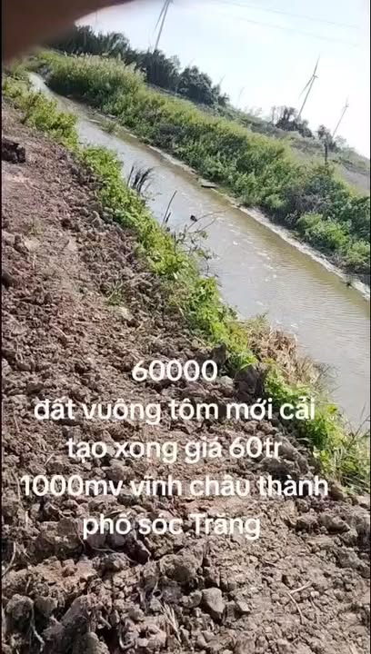 Đất nền Hòa Vĩnh Châu 60.000m² giá 3.6 tỷ - Đất đẹp, gần sông lớn!