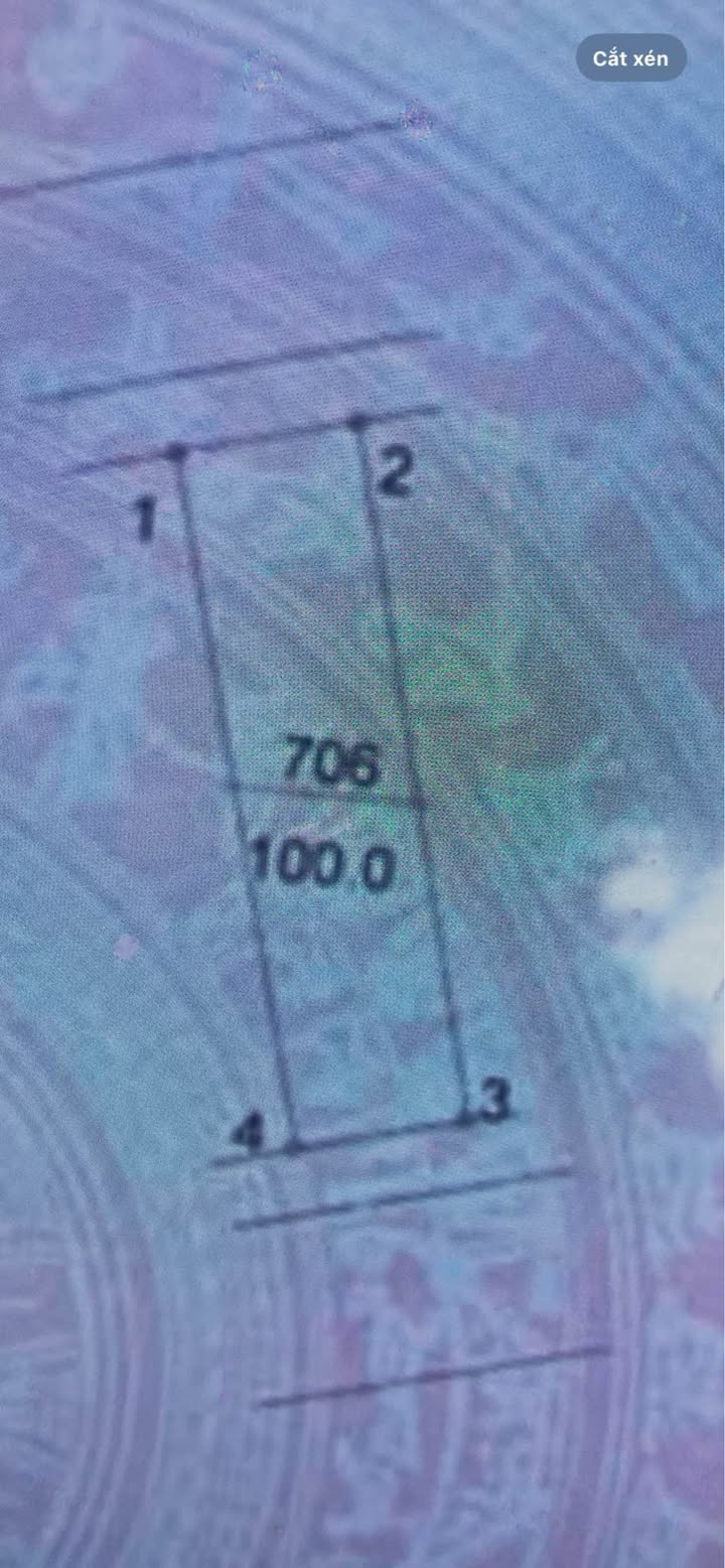 Đất đấu giá CEO Sài Sơn - Quốc Oai 100m² giá tốt - Đầu tư sinh lời ngay!