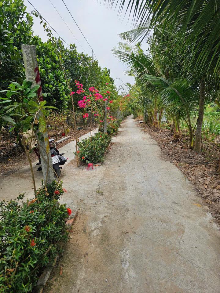 Đất nền 238m² ấp Tân Phước, xã Giục Tượng, Châu Thành 350 triệu - Đầu tư sinh lời!