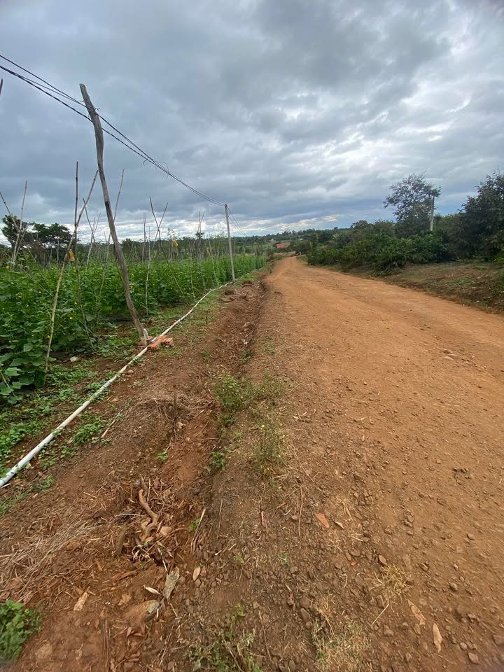 Đất thổ cư Cư Suê 675m² giá 1 tỷ - Đầu tư sinh lời ngay!