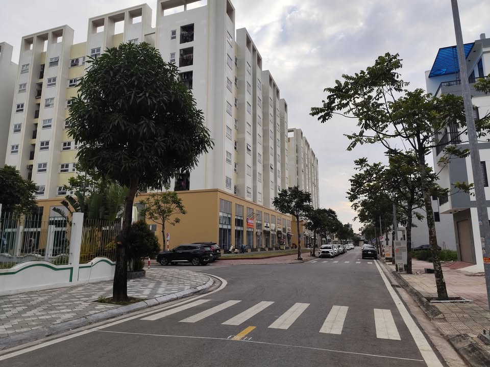 Đất nền Thái Bình 76,5m² giá 3,4 tỷ - Cơ hội đầu tư hiếm có!