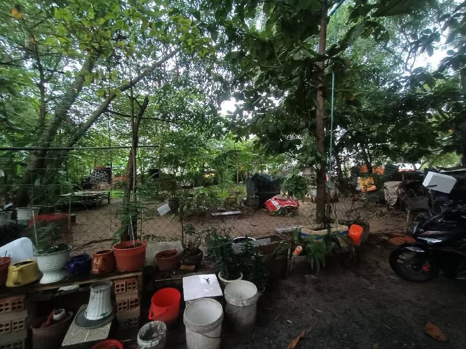 Đất thổ cư Tân Hiệp Hóc Môn 200m² giá 3,6 tỷ - Cơ hội đầu tư tuyệt vời!