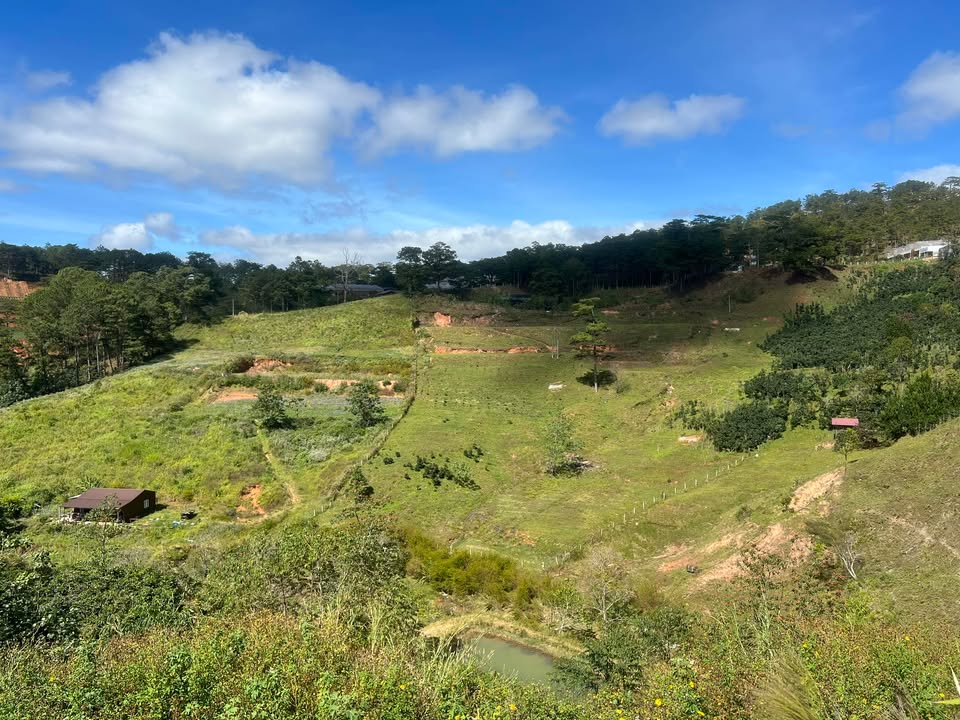 Đất nền Lạc Dương 6700m² giá 12 tỷ - Cơ hội đầu tư tuyệt vời!