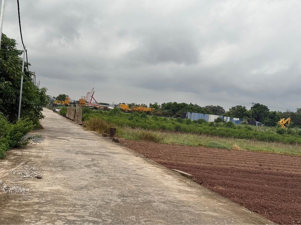 Đất trồng cây 50 năm tại Song Phương, Hoài Đức, 1037m² - Đầu tư lý tưởng!