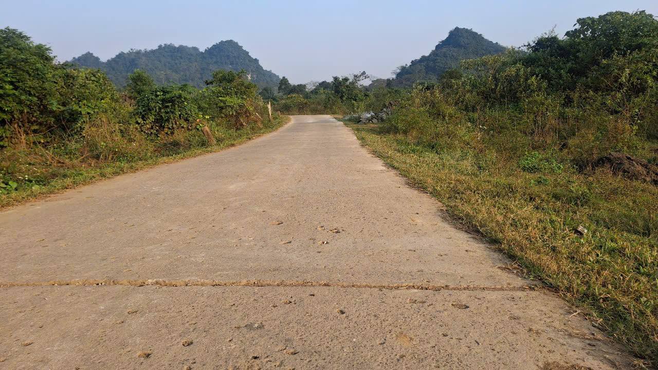 Đất nền Farm tại Phú Vinh, Tân Lạc 1.5ha giá 1.6 tỷ - Tiềm năng đầu tư lớn!