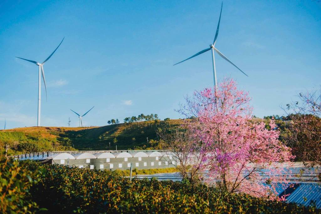 Đất nền Xuân Trường Đà Lạt 1000m² giá 3,3 tỷ - Cơ hội đầu tư hấp dẫn!