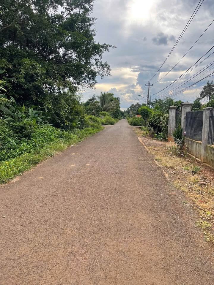 Đất hẻm 171 Nguyễn Thái Bình, Tân Lập, 250m² giá 1.3 tỷ - Sổ đỏ chính chủ, đầu tư sinh lời!