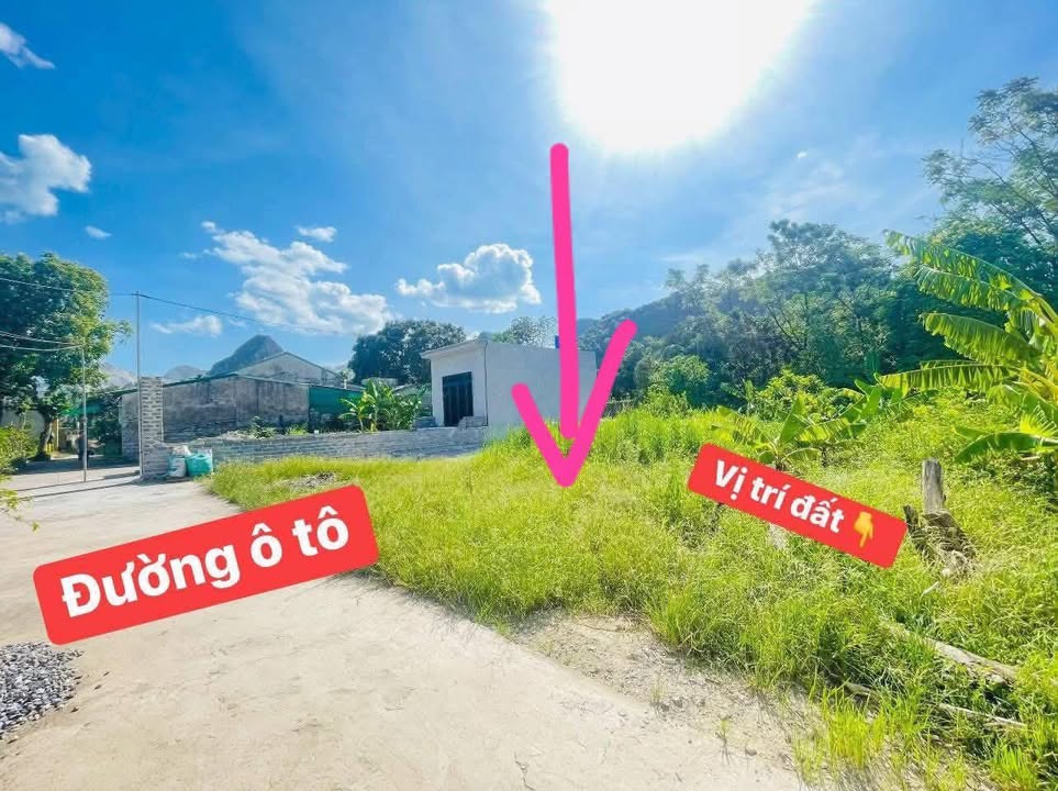 Đất nền Tân Thanh, Thanh Liêm 133m² giá 700 triệu - Đường ô tô đậu cửa