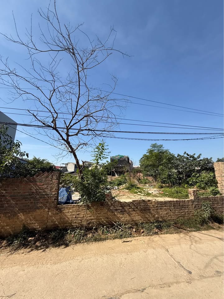 Đất liền kề Xóm Nhị Hòa, Đồng Bẩm 210m² giá 3.11 tỷ - Vị trí đẹp, dân cư đông đúc!