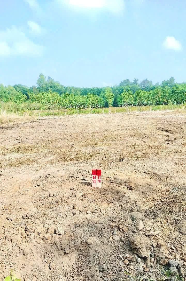 Đất nền xã Thuận Phú, Đồng Phú 1.227m² giá hợp lý - Đầu tư sinh lời cao!