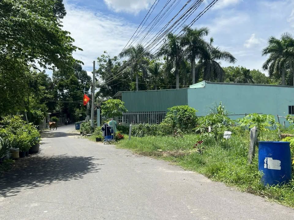 Đất nền mặt tiền DX83 Phú An Bến Cát 338m² giá 2 tỷ - Cơ hội đầu tư tốt!