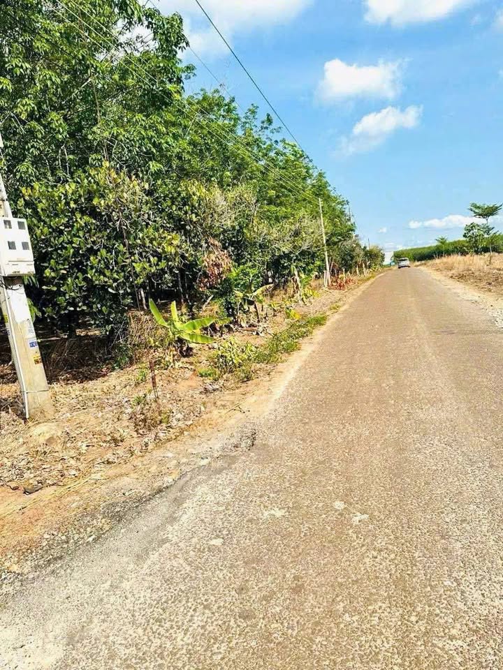 Đất nền lô góc BangLang Glamping, Dầu Tiếng 1125m² giá 3.2 tỷ - Cơ hội đầu tư vàng!