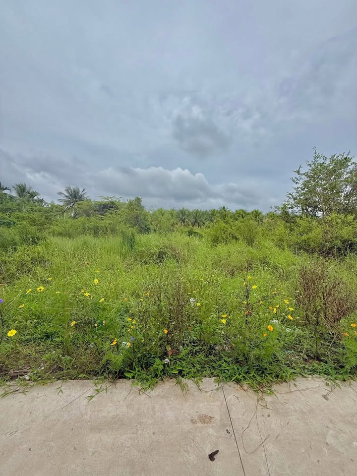 Đất nền đẹp 112m² tại ấp 1 Trung An, Mỹ Tho - Giá 850 triệu, thương lượng ngay!