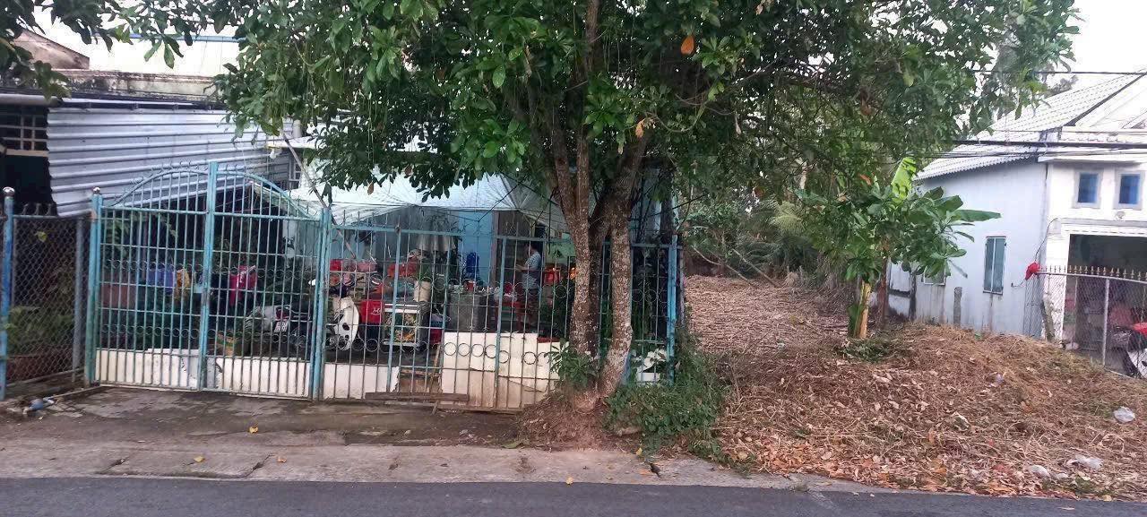 Đất nền mặt tiền lộ nhựa 967, khu phố 2, Thị trấn Thứ 11, 420m² - Cơ hội kinh doanh hấp dẫn!