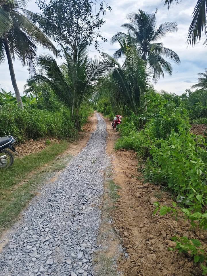 Đất mặt tiền kênh Tham Đôn, Mỹ Xuyên, Sóc Trăng 1025m² - Giá tốt cho đầu tư!