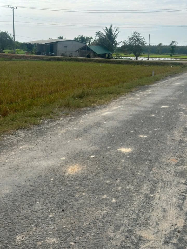 Đất thổ cư 185m² tại Ấp Phước Đông, Bến Cầu giá chỉ 195 triệu - Cơ hội đầu tư hấp dẫn!