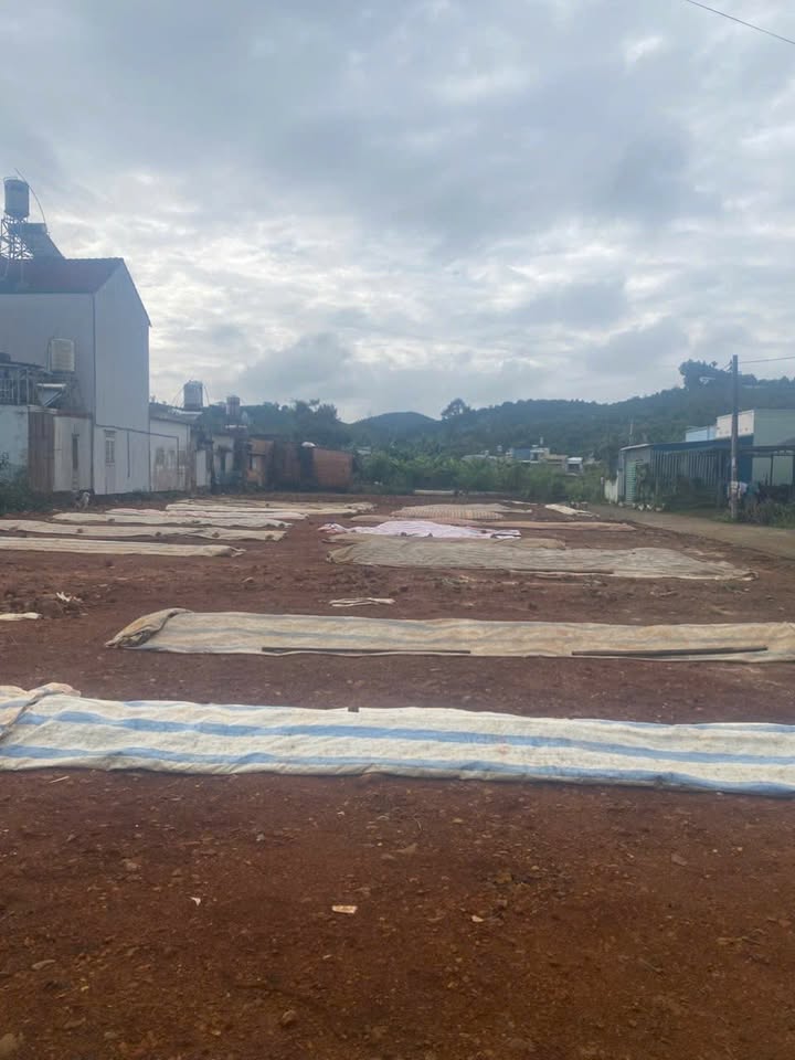 Đất nền bán gấp Lộc Châu Bảo Lộc 105m² giá 1 tỷ - Cách mặt tiền 100m!