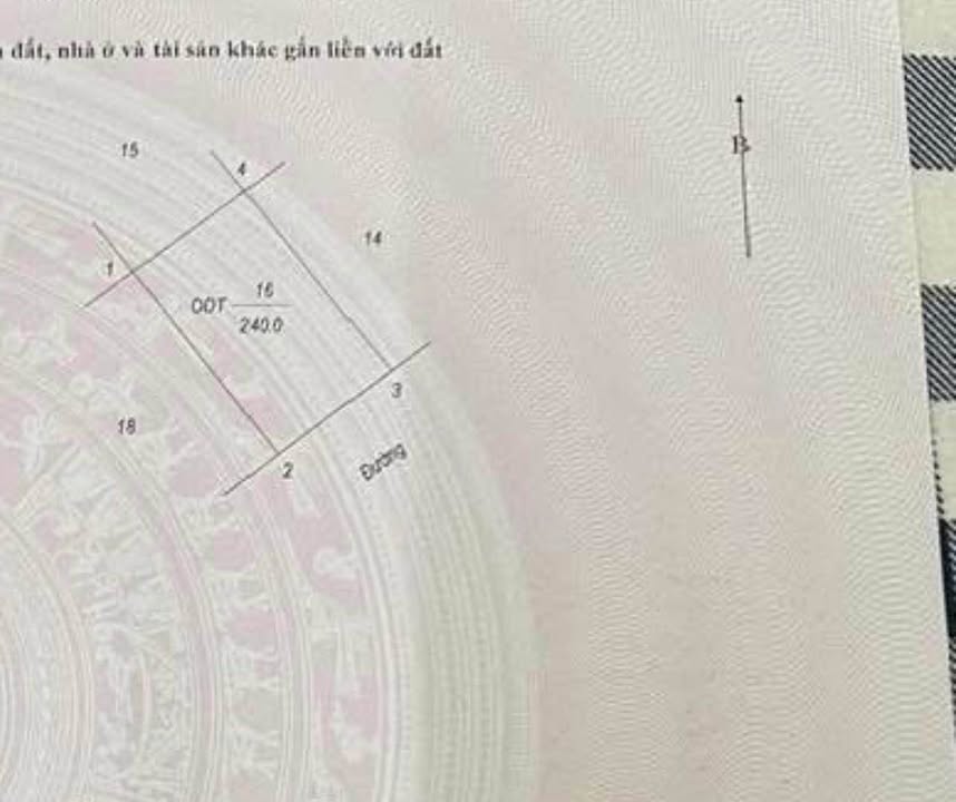 Lô đất biệt thự Khu Đô Thị Dệt Nam Định 240m² giá 19.2 tỷ - Vị trí đắc địa, hướng Đông Nam!