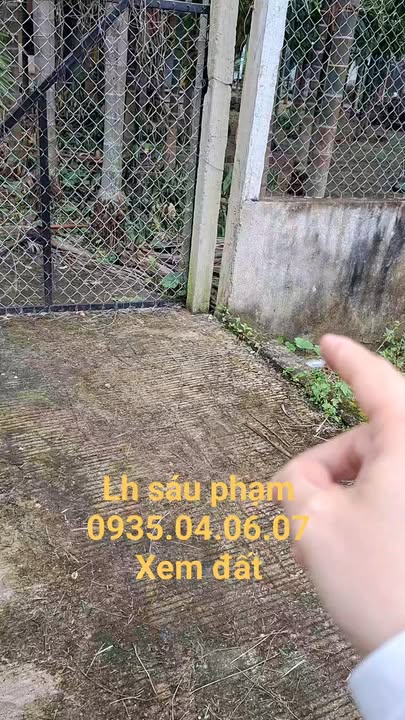 Đất nền Nghĩa Dõng, Quảng Ngãi 108m² chỉ 500 triệu - Cách trục chính 50m!