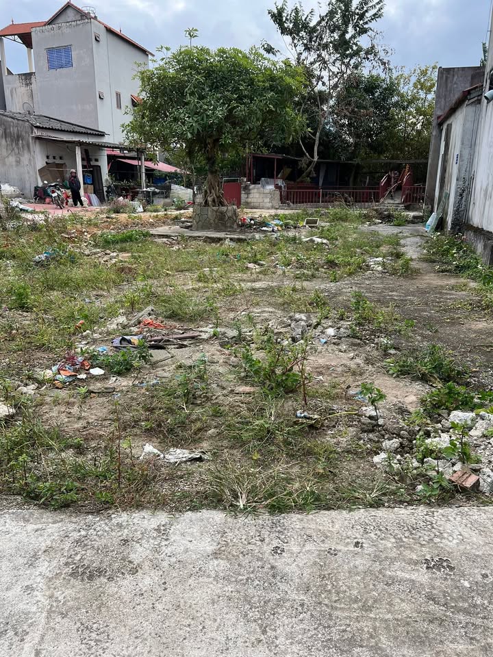 Đất nền Mai Pha - 70m² chỉ 1 tỷ - Cơ hội đầu tư hiếm có!