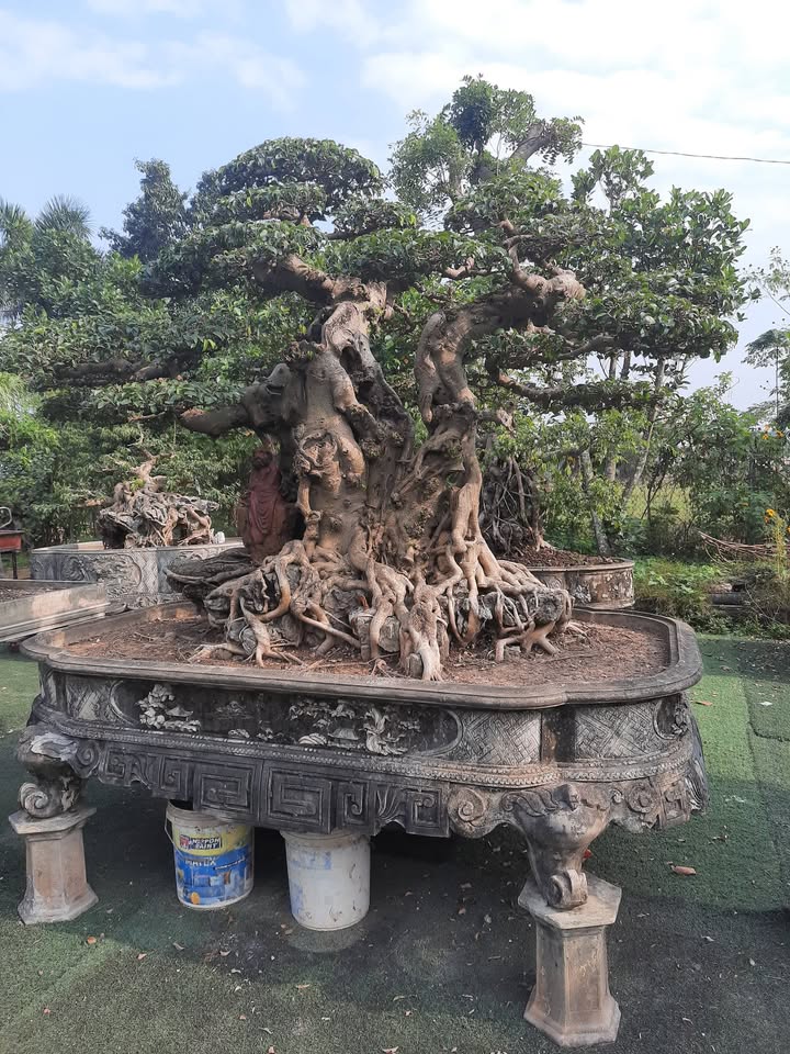 Đất nền 60m² xã Tây Phương, Thạch Thất giá 1 tỷ - Cơ hội đầu tư hấp dẫn!