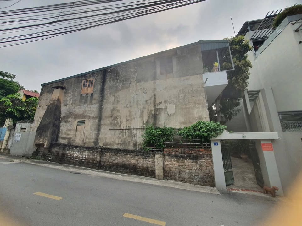 Đất nền đẹp tại phường Thanh Miếu, Việt Trì 300m² - Tiềm năng xây biệt thự lý tưởng!