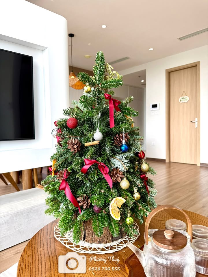 Căn hộ Mezza Sky Oasis 115m² giá 9 tỷ - Không gian sống lý tưởng cho gia đình!