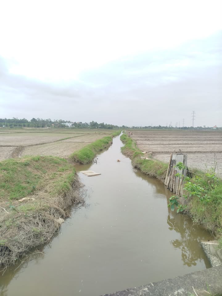 Đất thổ cư thôn Bồ Bản, xã Hòa Phong, 150m² giá 900 triệu - Đường ô tô vào tận nơi!