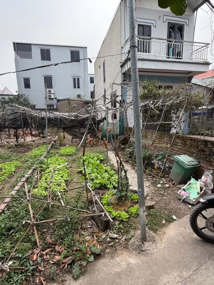 Bán đất Ngọc Hồi Thanh Trì 70m² giá 4.85 tỷ - Sổ đỏ chính chủ, giao dịch ngay!