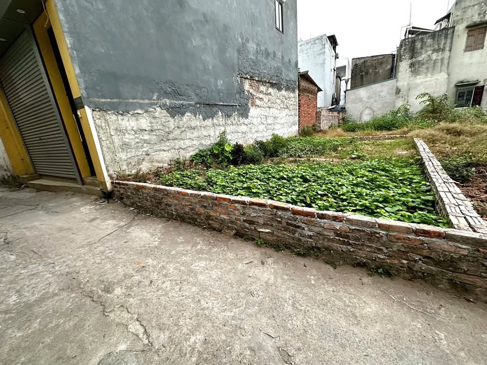 Đất Lệ Chi Gia Lâm 55m² giá 4,5 tỷ - Ô tô tránh, pháp lý rõ ràng!