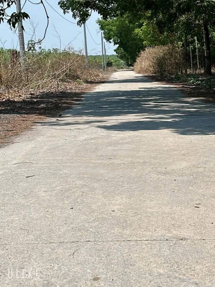 Đất thổ cư 5.000m² tại Chơn Thành - Giá chỉ 2 tỷ, đầu tư sinh lời!