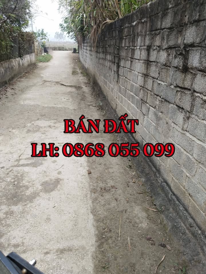 Đất nền xã Quang Huy, Phù Yên 249m² - Vị trí đẹp, giá thỏa thuận!