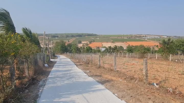 Đất thổ cư 1000m² Hàm Đức - Giá chỉ 1.6 tỷ, cơ hội đầu tư tuyệt vời!